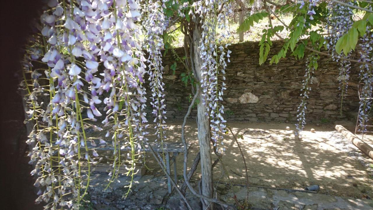 Le Mercou En Cevennes Saint-Martin-de-Boubaux Екстериор снимка