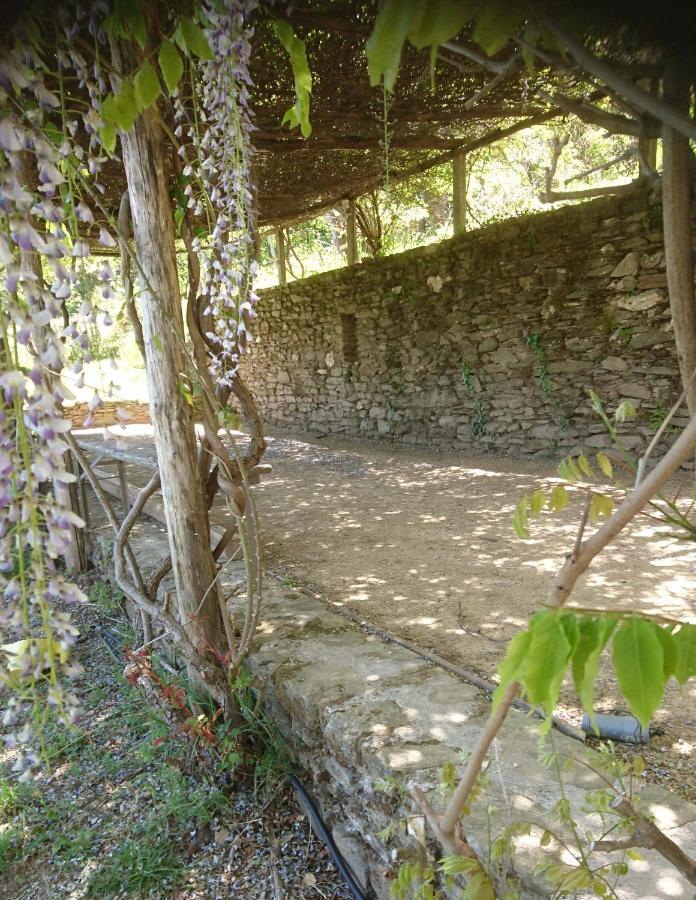 Le Mercou En Cevennes Saint-Martin-de-Boubaux Екстериор снимка
